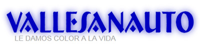 logovallesanauto